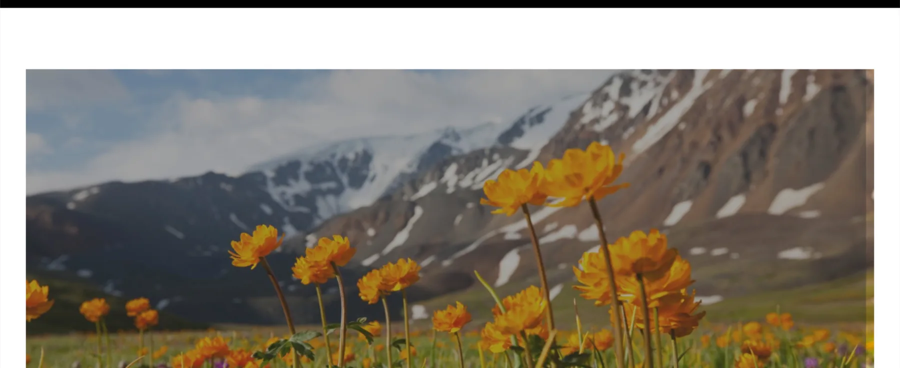 Mountain scenery